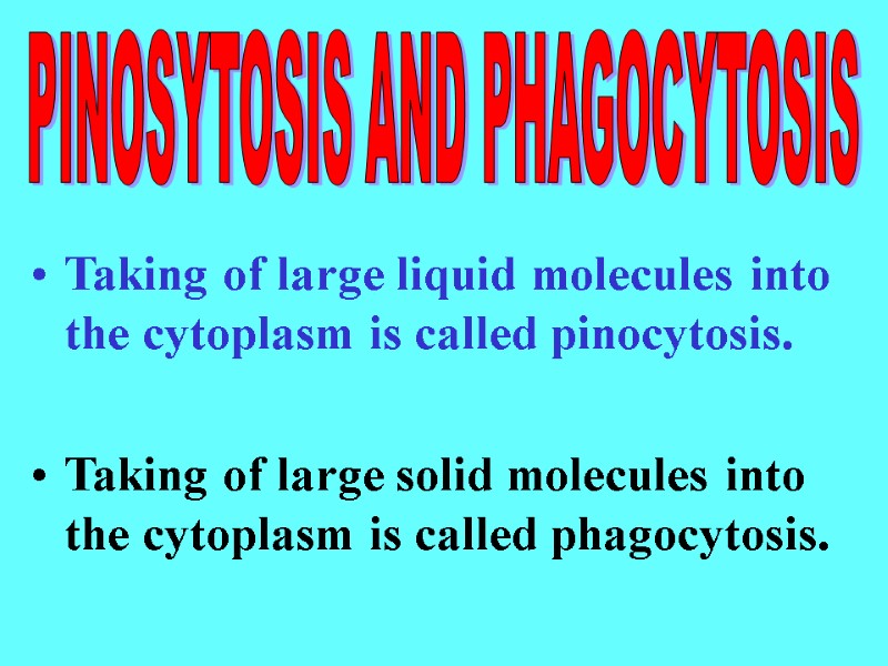 Taking of large liquid molecules into the cytoplasm is called pinocytosis.   Taking